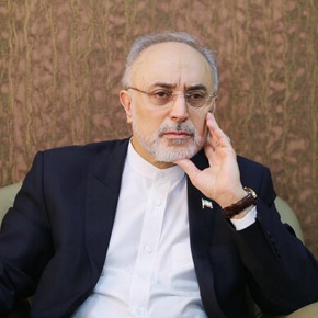 Салехи: в Иране можно построить до 8 ГВт АЭС
